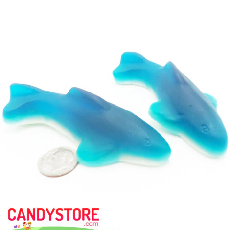 Gummi Killer Sharks - 6.6lb - Image 5